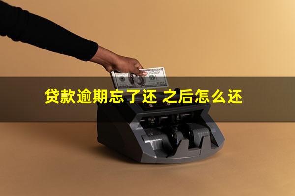 贷款逾期忘了还 之后怎么还